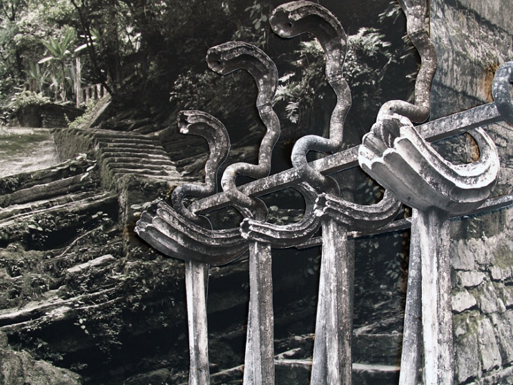 http://testing.mirunadragan.com/files/gimgs/th-6_IMG_2470_Xilitla_W.jpg