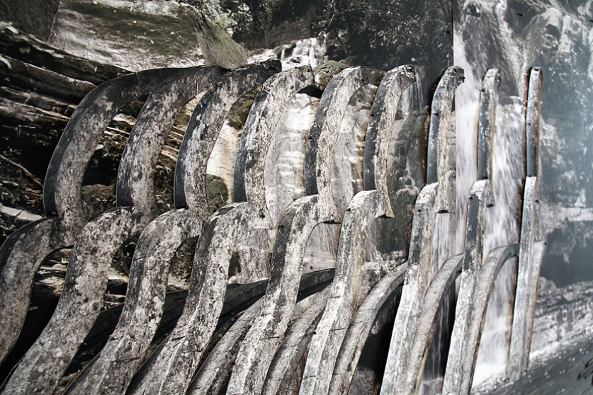 http://testing.mirunadragan.com/files/gimgs/th-6_IMG_2473_Xilitla_W.jpg