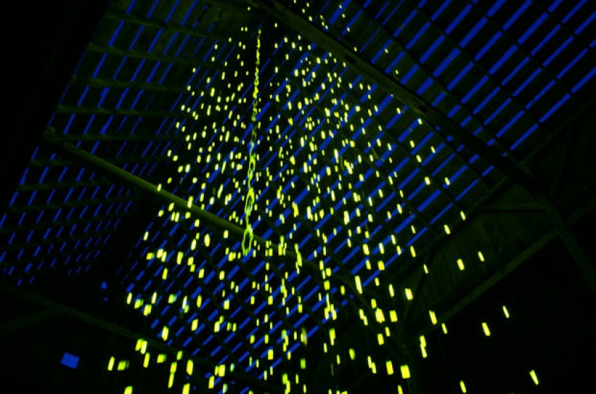 http://testing.mirunadragan.com/files/gimgs/th-22_LoveFromAbove_instal4-web.jpg