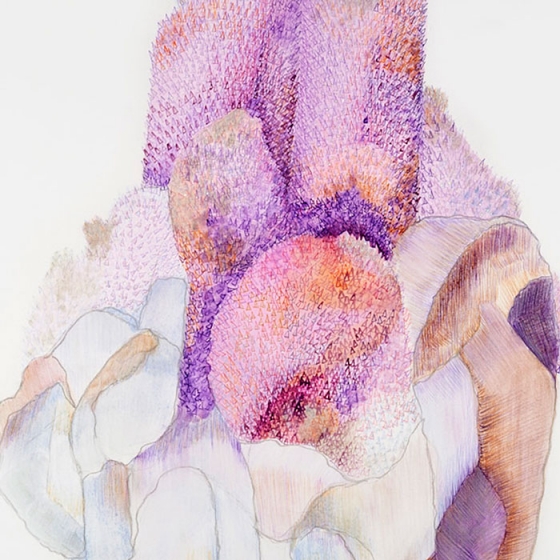 https://testing.mirunadragan.com/files/gimgs/th-23_Erratics-Draw3-detail-web_v2.jpg
